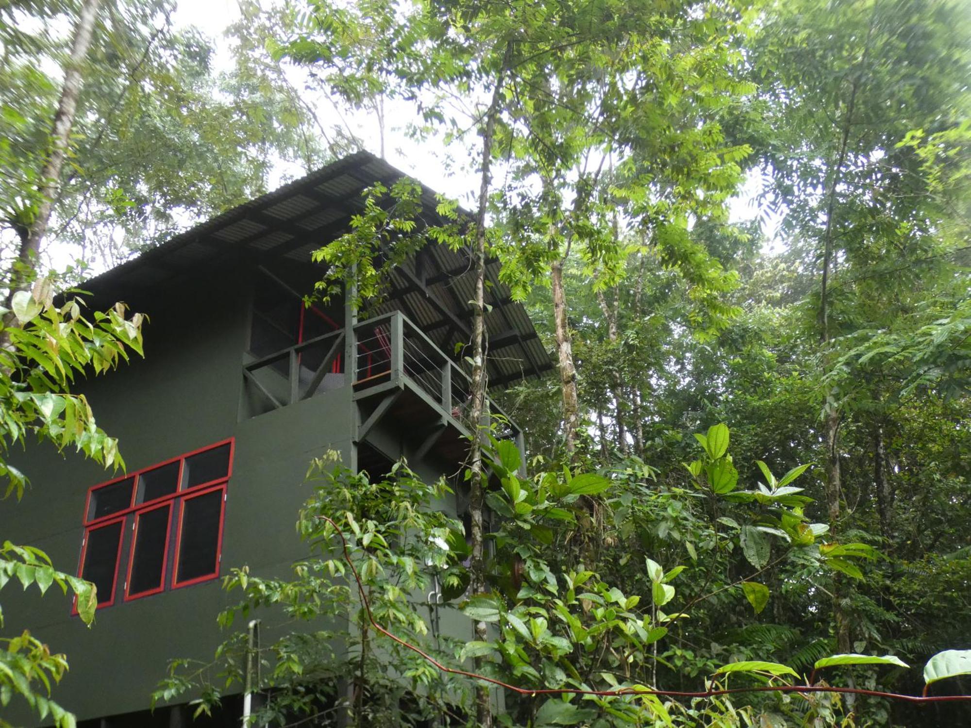 Sarapiquí Yatama Rainforest Ecolodge מראה חיצוני תמונה