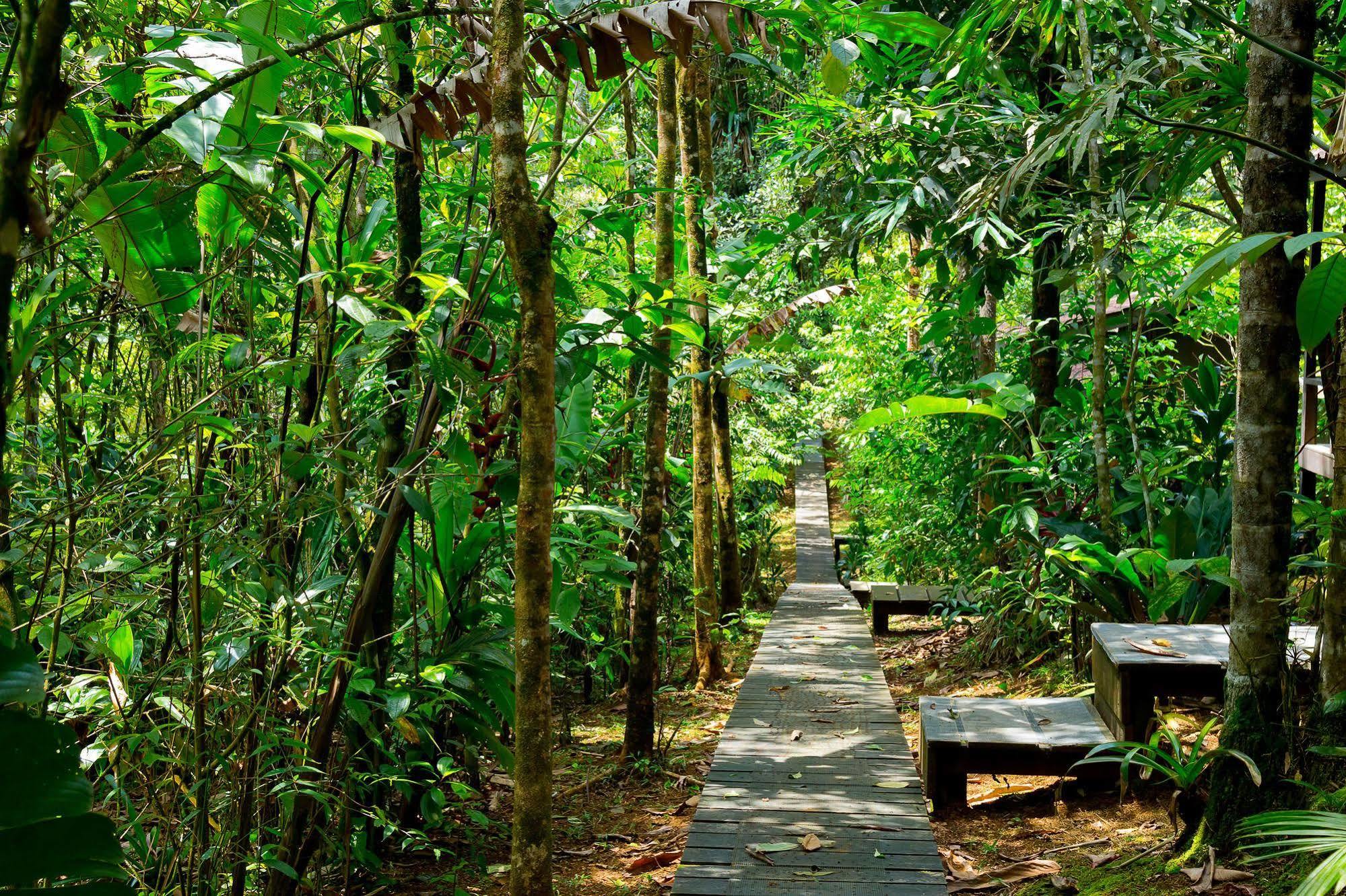 Sarapiquí Yatama Rainforest Ecolodge מראה חיצוני תמונה