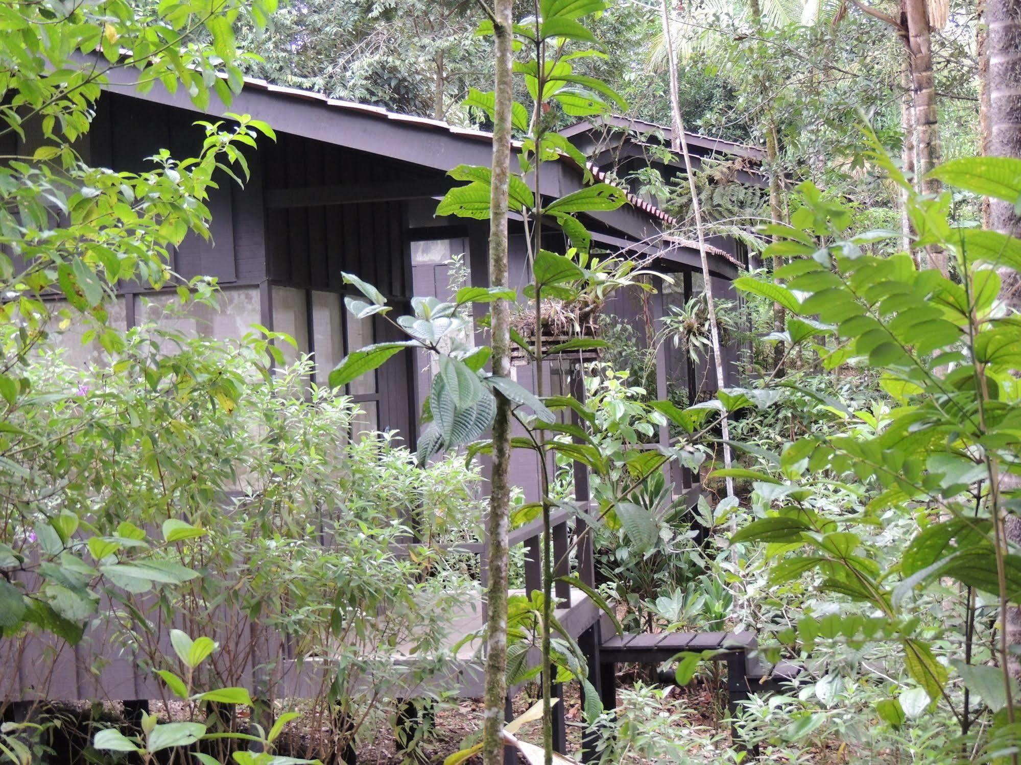 Sarapiquí Yatama Rainforest Ecolodge מראה חיצוני תמונה